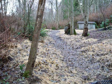 photo of project 13, the Warbler drainage project